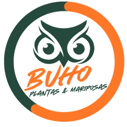 BUHOO